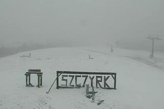 Śląskie. Śnieg w maju! W Beskidzie Śląskim jest biało! [ZDJĘCIA]