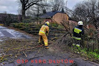 Niebezpieczne podmuchy wiatru w Łódzkiem. Strażacy interweniowali 140 razy