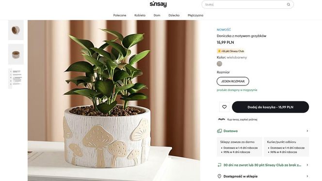 Jesień w Sinsay 2025