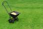 Nawożenie trawnika - jaki nawóz do trawy? Kiedy i czym nawozić trawnik w ogrodzie?