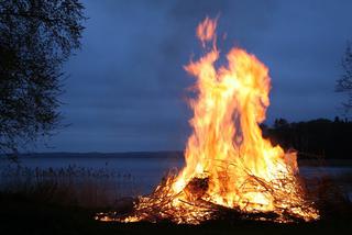 Czy przycięte gałęzie można palić w ognisku? Straż miejska ostrzega działkowców!