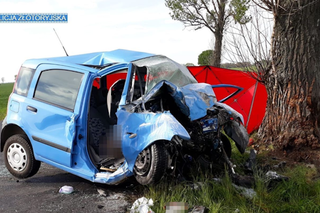 Paskudny widok - kierowca Fiata Pandy stracił życie w wypadku na drodze wojewódzkiej nr 363