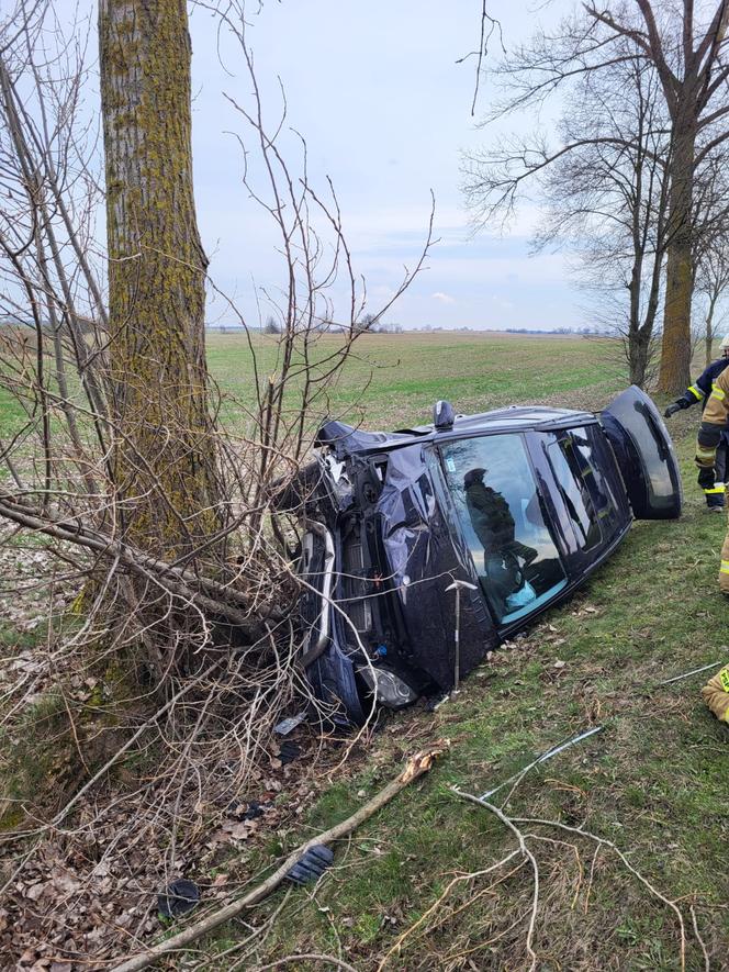 Auto wypadło z drogi i zatrzymało się na drzewie! O krok od tragedii pod Mogilnem [ZDJĘCIA]