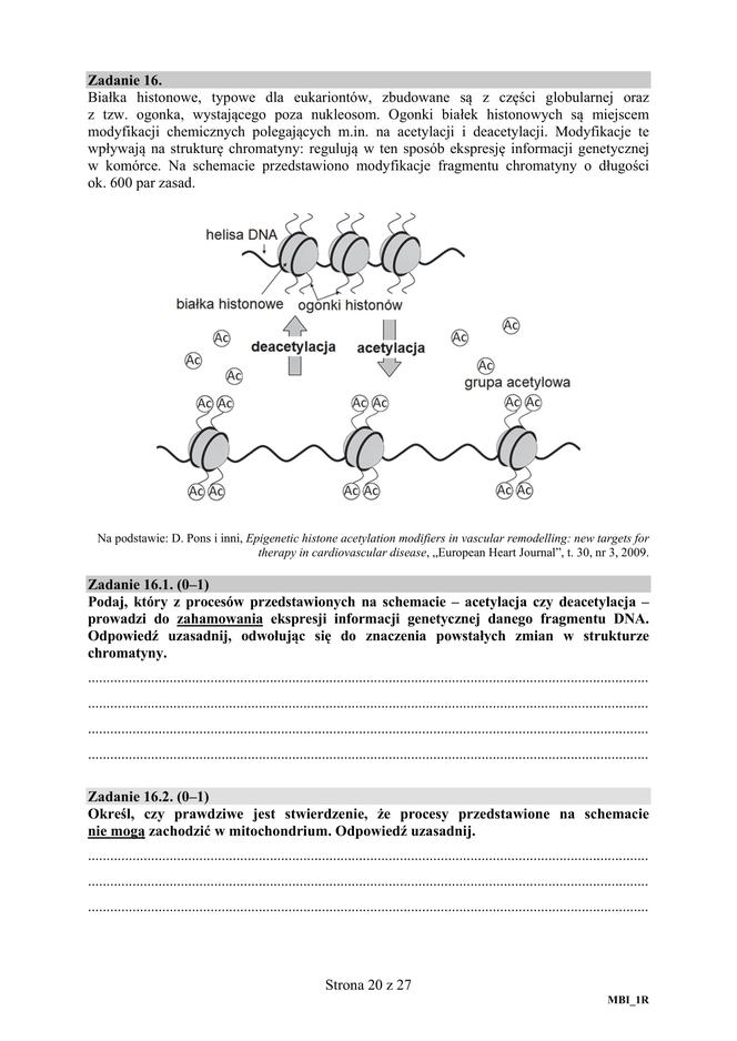 Matura 2018 z biologii [ARKUSZE CKE, ODPOWIEDZI]