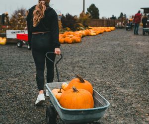 Tu zrobisz idealne jesienne zdjęcia. Farmy dyniowe w Lubuskiem zapraszają. Lista