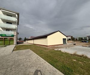 Dino w Sejnach