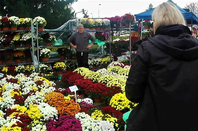 Dzień Wszystkich Świętych na Cmentarzu Centralnym w Szczecinie