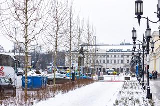 Nowe drzewa i krzewy na placu Bankowym w Warszawie, grudzień 2023 r.