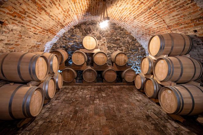 W podziemiach żagańskiego opactwa dojrzewają wina czerwone i musujące z Winnicy Saganum, ale znajduje się tu także Trakt Winny i Muzeum Winiarstwa, organizowane są pokazy i degustacje.