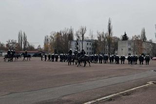 Atestacja koni służących w łódzkiej policji i straży miejskiej