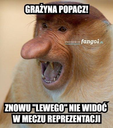 Memy po meczu Polska-Holandia