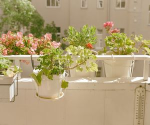Balkon latem