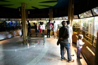 Wnętrze Akwarium Gdyńskiego 