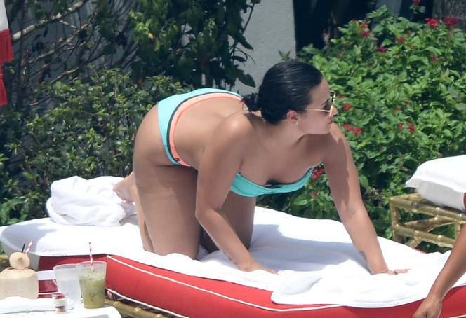 Demi Lovato w bikini