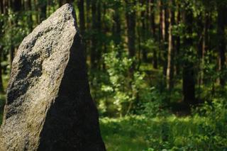 Kamienne Kręgi w Odrach,