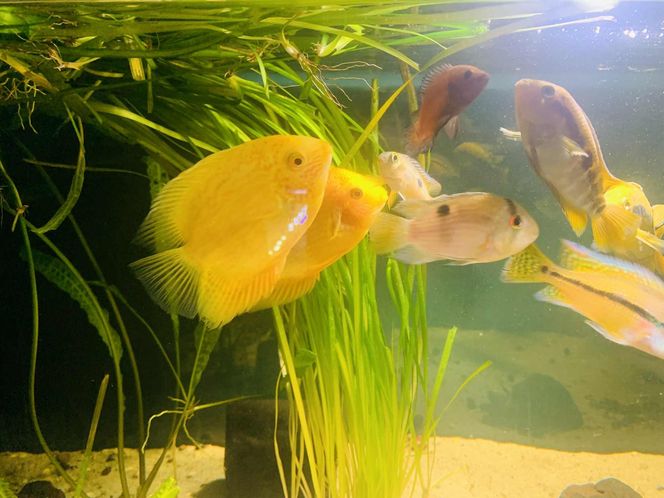 Rozmawiamy z Tomaszem Wiśniewskim, założycielem Aqua Dreams Bydgoszcz