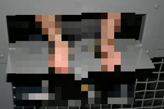 Penisy polskie i amerykańskie