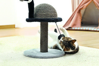 Zabawny drapak dla kota