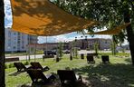 Park Lawendowy na osiedlu TBS w Białymstoku