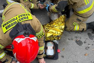 Bohaterska postawa strażaków z Krakowa. Uratowali zwierzęta z płonącego mieszkania