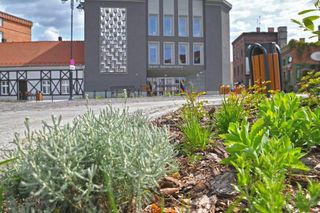 Tu kiedyś była rafineria cukru trzcinowego. Na placu Solnym w Bydgoszczy odkryto historyczny bruk