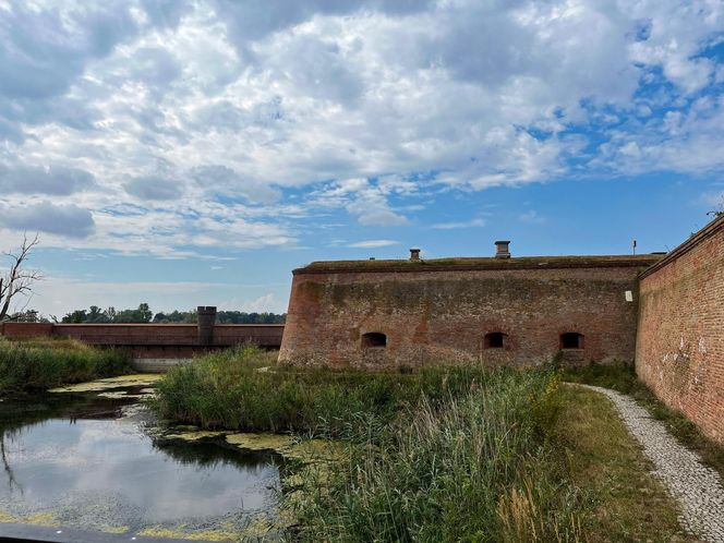 Sulechów – uczelnia, usługi i bliskość Zielonej Góry