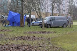 Odkrycia dokonał jeden z rodziców