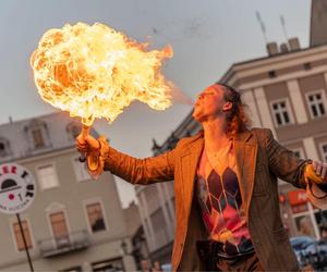 Busker Tour we Wrocławiu. Darmowy cyrk w centrum!