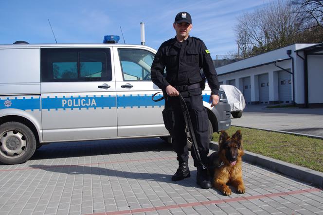 Gryfino ma nowego policjanta. Wabi się Lego i jest pięknym owczarkiem! [ZDJĘCIA]