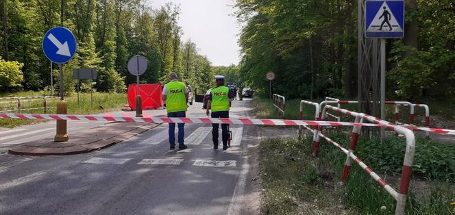 Jarocin. Zmasakrował na drodze piękną Agatę. 19-latek z zarzutami!