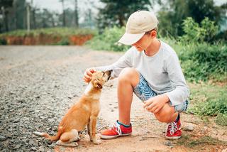 Uwaga pies! Jak nauczyć dziecko bezpiecznego zachowania wobec obcych zwierząt?