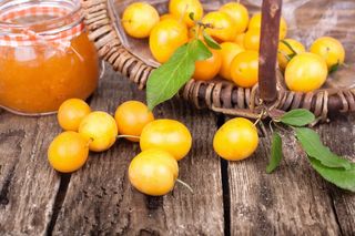 Śliwki, które wspomagają trawienie. Są niezwykle aromatyczne i właśnie ruszył na nie sezon