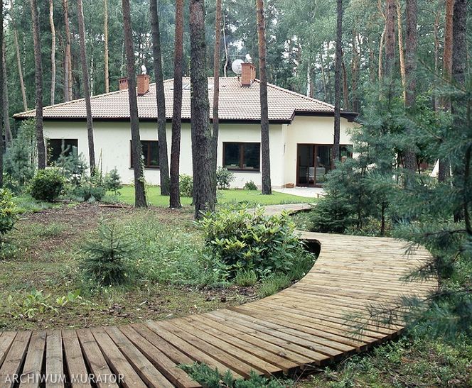 Drewniana ścieżka w ogrodzie