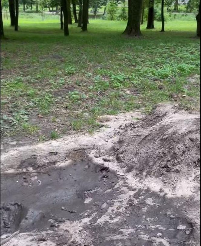 Urządzili sobie tor przeszkód w zabytkowym parku