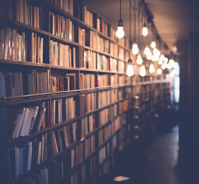 Noc Bibliotek