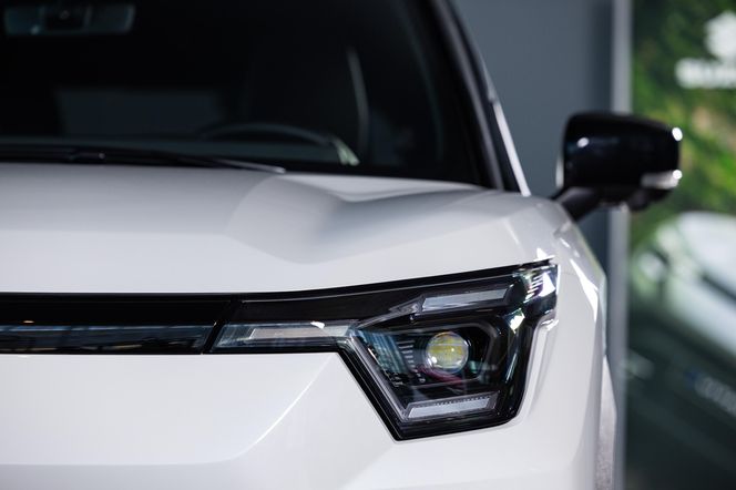 Suzuki eVitara