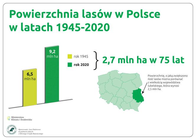 Będą nowe lasy – kupujemy tereny pod zalesianie 4