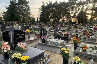 1 listopada na cmentarzach w Polsce. Tak Polacy obchodzą Wszystkich Świętych
