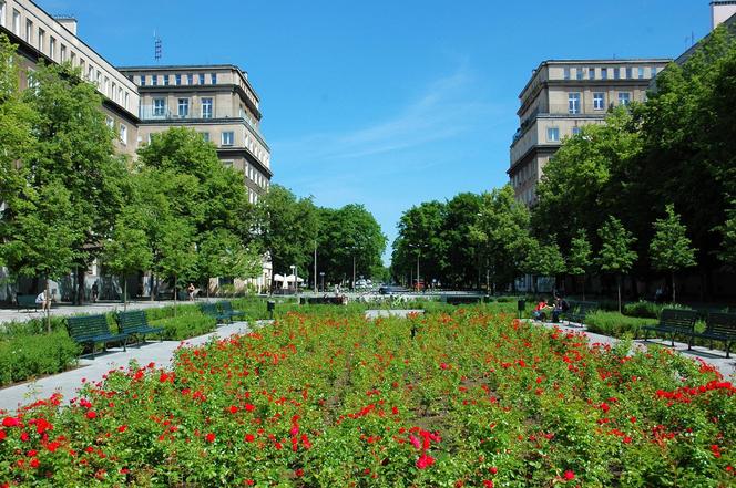 Aleja Róż, Osiedle Centrum, Nowa Huta