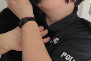 Bezdomny kociak przyszedł pod komisariat w Bytowie. Wspaniała reakcja policjantki
