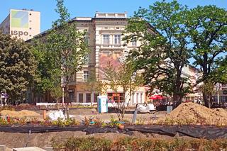 Przebudowa alei Wojska Polskiego w Szczecinie - czerwiec 2023