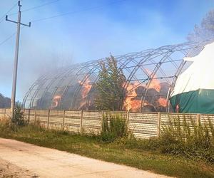 19 zastępów straży gasiło pożar w Lubuskiem