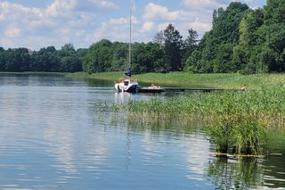 Najpiękniejsze osiedle Olsztyna według AI. „Zachwyca przyrodą i architekturą”