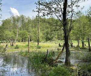 Największa pustynia w Europie leży w Małopolsce. „Róża Wiatrów” turystycznym hitem