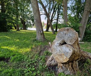 Park Centralny przed wielką zmianą! Zobacz, gdzie powstanie kąpielisko