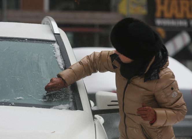 Mucha skrobie szyby kartą kredytową