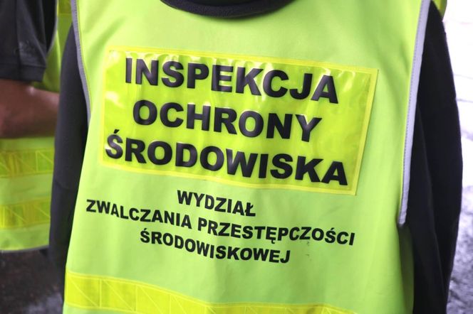 Niebezpieczne odpady zakopane pod lasem na Dolnym Śląsku. WIOŚ złożył zawiadomienie do prokuratury 