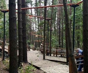 Park Leśny na Oksywiu, Gdynia