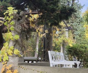 Jesień w Ogrodzie Botanicznym UKW. To ostatnia szansa na spacer wśród złotych liści!