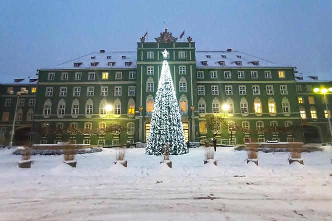 Miejska choinka przed urzędem miasta